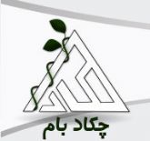 اینترنت پهنای باند اختصاصی