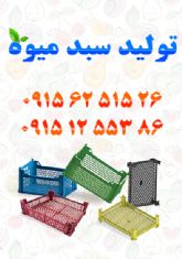 تولید انواع سید میوه